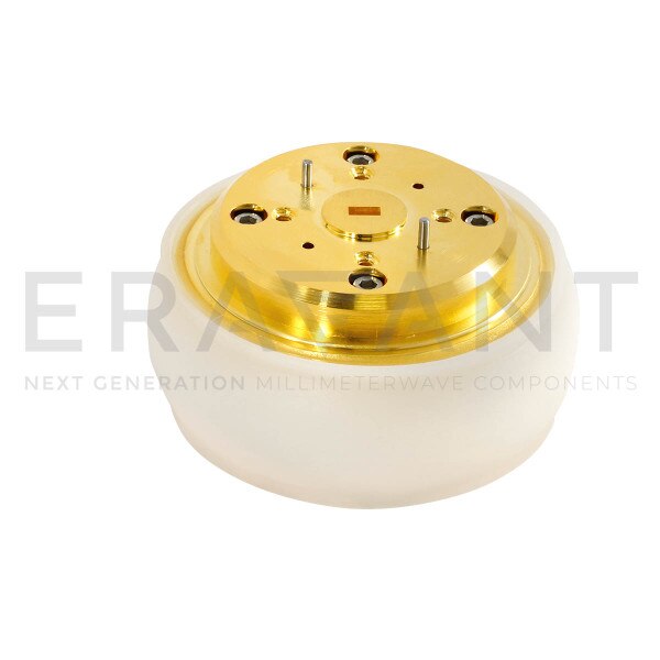 WR-19 Waveguide Omnidirectional Antenna