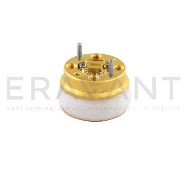 WR-12 Waveguide Omnidirectional Antenna 2 dBi Gain