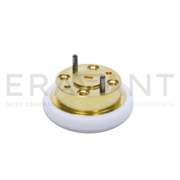WR-10 Waveguide Omnidirectional Antenna