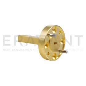 WR-10 Waveguide Probe Antenna